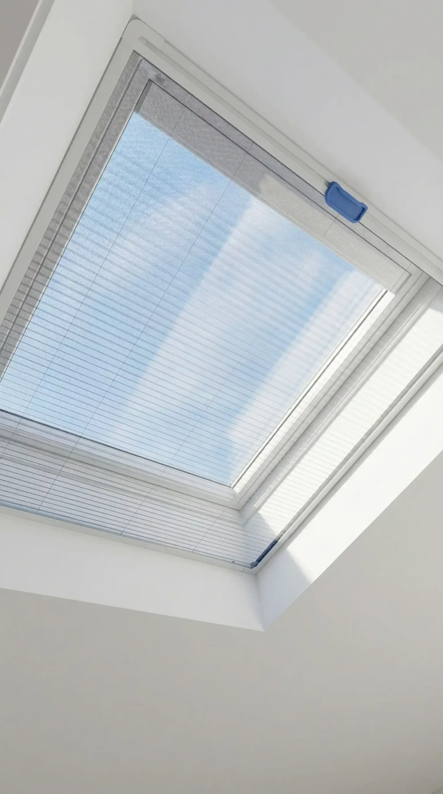 zeescreen-sede-novara3